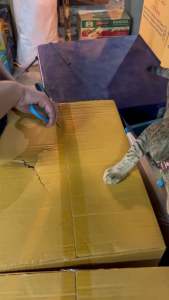 ชุดปลาหวานเสียบไม้ 120 ห่อ ห่อละ 10 ไม้ ราคาส่ง ดิจิทัลสมาชิก ปลอดภัย สุขสมบูรณ์