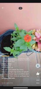 A Comprehensive Guide to Growing Sunflower, Carnation, Dahlia, Coleus & Zinnia Seeds