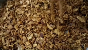 Bawang Goreng BREBES Original Asli Tanpa Campuran Murah