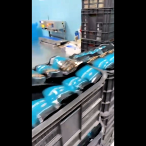 Shinjiru Coffee Blend Slimming pack of 3 Bundle