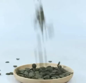 Bentik spirulina lempeng pelet// Benthic spirulina pancake pellet feed fish for bottom feeding such  mouse fish scavenger fish special-shaped fish golden baby blue shark lucky catfish rainbow fish rice shrimp etc /底栖类螺旋藻薄饼状颗粒饲料  适合在底部寻食的鱼类如鼠鱼、清道夫、