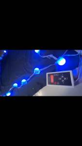 Ledปิงปอง ครึ่งใบ 12v 0.75w ฟูคัลเลอร์ ขนาด3cm /พวงละ30ดวง (กันน้ำ) สินค้าส่งจากประเทศไทย🇹🇭