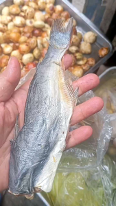 ปลาสวายเล็กพม่าตากเค็มแห้ง900g.