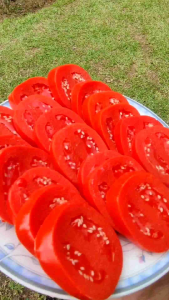 Replika Sayuran Tomat: Mainan Edukatif & Dekorasi Meja Makan