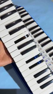 Tuts hitam pianika - Tombol pianika warna hitam (isi 5 pcs)