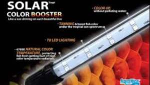 Neo Helios Solar Color Booster Neo-Helios LED Submersible Tanning Light Lamp Colour Up AquaNice Lampu Akuarium
