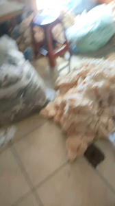 BEDONG BAYI MOTIF POLOS 3 PCS