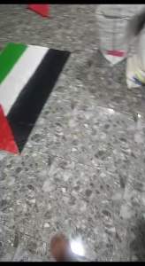Bendera Palestina Ukuran Sedang: Penggunaan & Tips