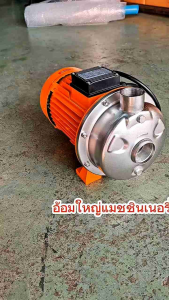 ปั๊มหอยโข่งสแตนเลส ปั๊มน้ำหัวสแตนเลส 1.1/4"*1" รุ่น SW-61 APP (ARWANA)
