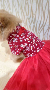 Baju Anjing & Kucing Tipe Hua Dress CNY Imlek