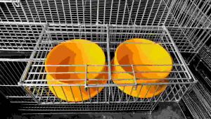 Galvanize feeder Holder for chicken and birds
