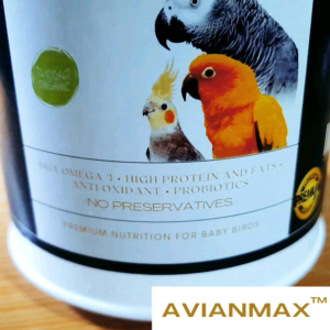 AVIANMAX Handfeed Formula - Premium Hand Feed Formula
