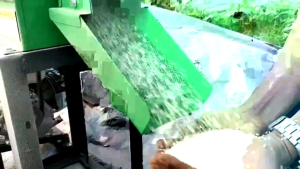 Mesin Giling Padi Mahkota KD 500 Kapasitas 500 Kg/Jam | Komplit Mesin