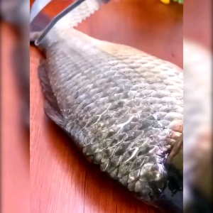 Pisau Ikan Alat Pemotong Pembersih Sisik Ikan Scale Fish Scraper