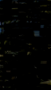 150 BENIH CABE RAWIT BIJI ORIGINAL BENIH CABAI PEDAS