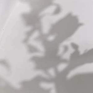 PREMIUM QUALITY - FRESH ROOM SPRAY