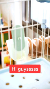 PET DISPENSER OTOMATIS 1 SET MAKAN & MINUM KUCING - MODEL GANTUNG