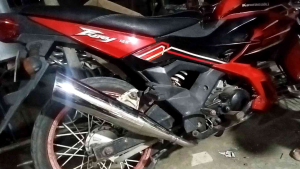 FURY 125 NEW BREED CHICKEN PIPE APIDO
