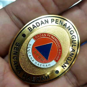 PIN BROS BPBD