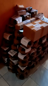 Jengkol muda lalapan jengkol kulit jengkol cangkang batok belum kupas