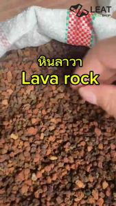 หินภูเขาไฟลาวาแดง แบ่งบรรจุ หินภูเขาไฟ ผสมดินปลูก โรยหน้า รองตู้ปลา