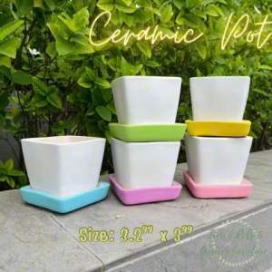 กระถางเซรามิค กระถางต้นไม้มินิมอล ขนาด กระถาง 3 นิ้ว กระถางแคคตัส กระถางทรงเหลี่ยม, ขนาด กว้าง 3.2 นิ้ว สูง 3 นิ้ว