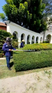 เครื่องตัดแต่งไม้ดัดไทรเกาหลี(รุ่นมอเตอร์จัมโบ้)คละสี(ไม่รวมแบต)ใช้กับแบตเตอรี่12v