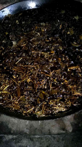 Minyak Urut Tradisional Karo / Minyak Pijat Karo Kemasan 5 Liter