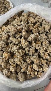 Bột tam thất bắc đặc 100% tam chất tự nhiên mịn vị thơm  phù hợp với người đại trà dạ dày ung thư sẵn hàng