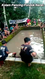 Essen Super Galatama Ikan Lele Paling Ampuh Essen Oplosan Ikan Lele Aroma Amis Plus Extra Katilayu Asli Essen Katilayu Khusus Ikan Lele Lomba Galatama Induk Essen Galatama Ikan Lele Paling Gacor