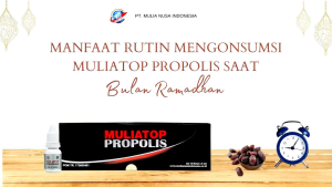Muliatop Propolis Bisa untuk Alergi Ambeien Anemia Asma Asam Urat Asam Lambung Gagal Ginjal Hepatitis Sakit Mata Congek Hidung Jantung Kanker Kolestrol Leukimia Luka Jerawat dll