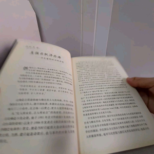 《宁我是灯:许光道文集》许光道著 林武聪编 议题包括帮助马来人做生意 马化控股争议 新泛电事件 华资合作社 文化经济趋势 燧人氏事业出版 book