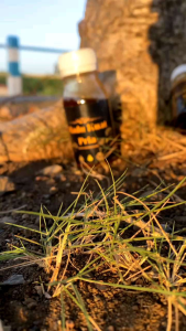 MADU KUAT PRIA TAHAN LAMA (MADU ASLI 100%) KUALITAS TERJAMIN