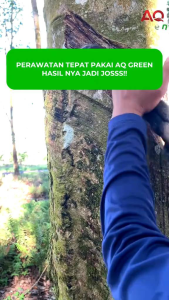 Pupuk AQ Green Pupuk Hayati Majemuk - Menyuburkan Tanah Mempercepat Pertumbuhan dan Meningkatkan Mutu Bobot dan Hasil Panen Cocok untuk Padi Jagung Karet dan Tanaman Hidroponik (500gr)