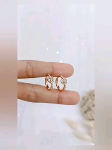 Anting Titanium Wanita Lyd: Aksesoris Kualitas Tinggi untuk Berbagai Acara