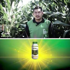 ไอ้เน่า1ขวด แก้ดินแน่น ดินแข็ง สารปรับสภาพดิน ฟื้นฟูดิน แก้ดินเสีย เร่งการแตกราก ขนาด 500 ML