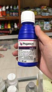 Pegasus 500sc 80ml Diafentiuron Insektisida Akarisida