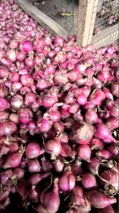 bawang merah 1kg garut