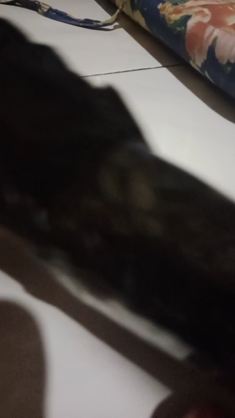 Buyer review video 6