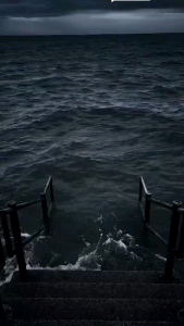 Sarung Stir Mobil Daihatsu: Pilihan Terbaik Untuk Ayla, Terios, & All New Xenia