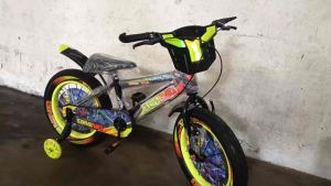 SEPEDA ANAK LAKI-LAKI BMX 12 16 & 18 INCH ERMINIO BAN 3.0