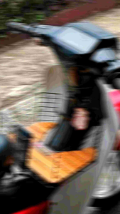 keranjang tengah keranjang sayur Yamaha Alfa 2 tak alpa 2tax