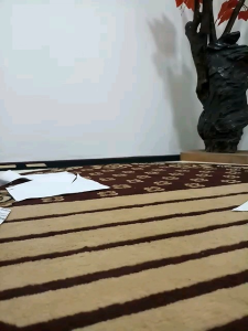 PISAU TANTO 20 CM BAJA PER: Panduan Lengkap