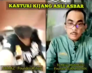 Kasturi Kijang asli Asbar (GRED PREMIUM)