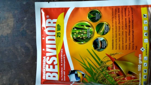 BESVIDOR Insektisida Besvidor 25WP 100Gram Pengendali Hama kutu thrip pada tanaman