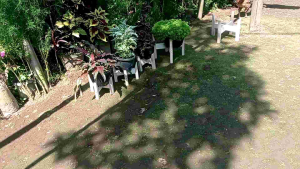 RAK POT TANAMAN /STANDING POT KAYU (S)