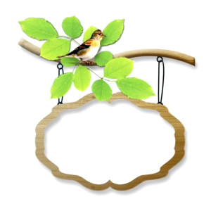 Tas Hydro Waterproof/Tas Outdor Sepedah