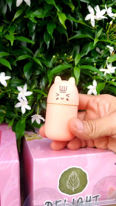 ยาดม กลิ่นส้ม ตราดีไลท์-เฮอร์เบิล-เฮาส์ ขนาด 10 กรัม มี Refill 1.5 ml