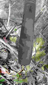 arit rumput cap mDR bintang 3 asli buatan pande Madura