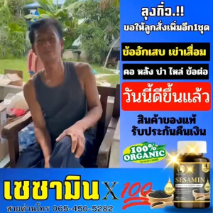 Saynari Sesamin Plus Collagen สารสกัดเซซามินเข้มข้นจากงาดำ บำรุงกระดูก ลดอักเสบ ปวดตามตัว บรรจุ 60 เม็ด (แพ็ค 10 กระปุก) Saynari Sesamin Plus Collagen สารสกัดเซซามินเข้มข้นจากงาดำ บำรุงกระดูก ลดอักเสบ ปวดตามตัว บรรจุ 60 เม็ด (แพ็ค 20 กระปุก)
